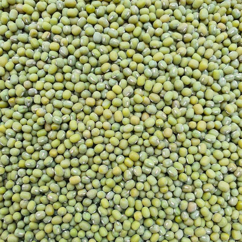 20260306 green mung bean